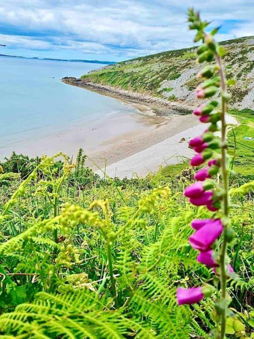 The Mermaids Watch Pendine Dog Friendly Apartment Luaran gambar